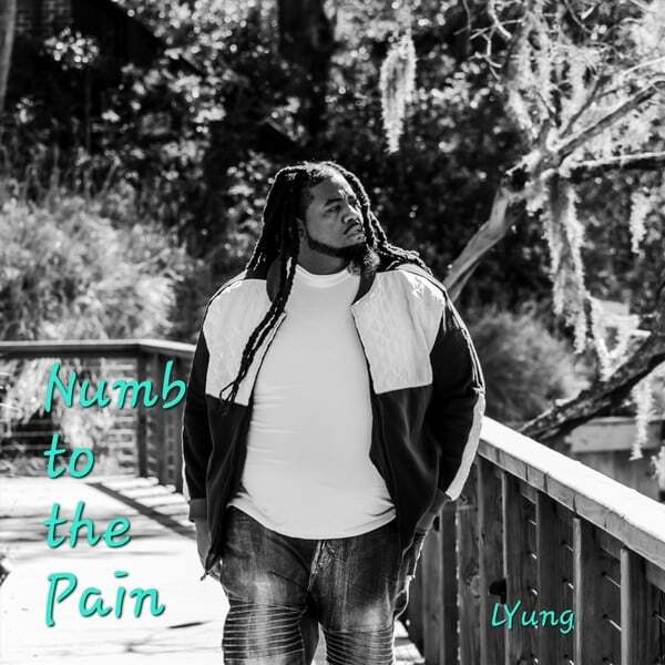 Cover art for Numb to the Pain